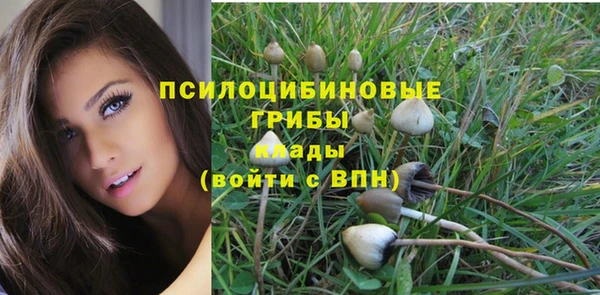 mdma Козельск