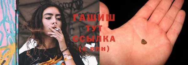 индика Кодинск